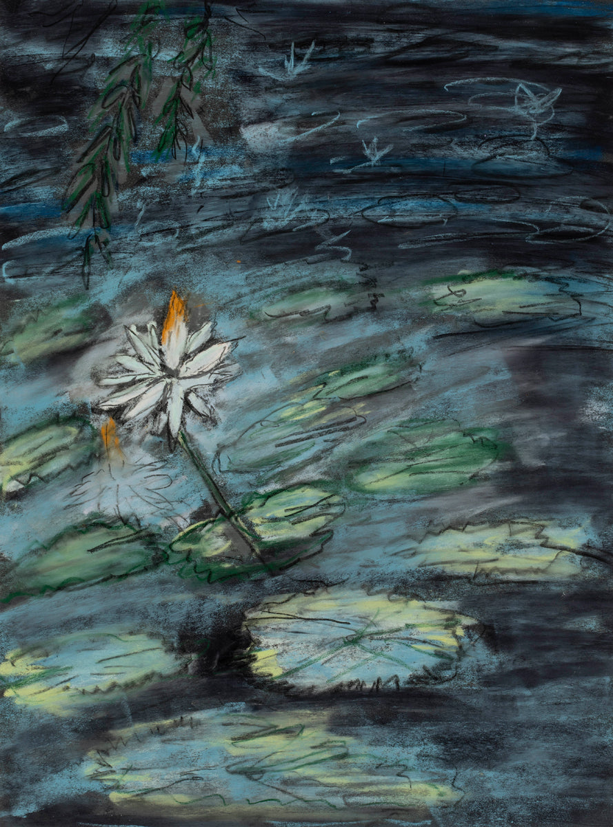 White Lily in a dark night