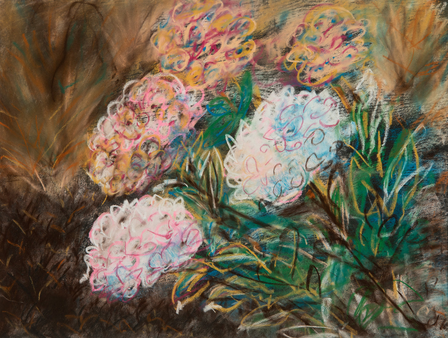 Hydrangeas