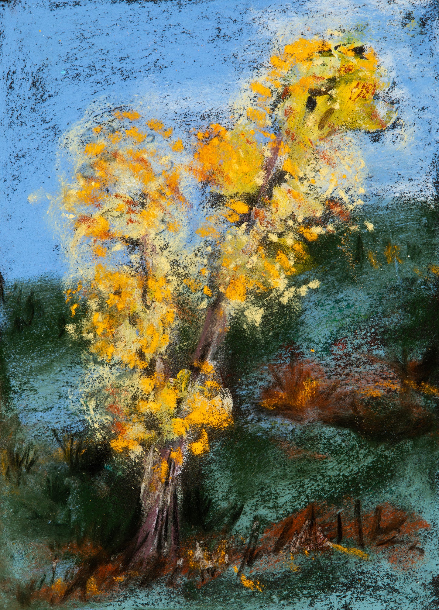 Evening sets in Yellowstone