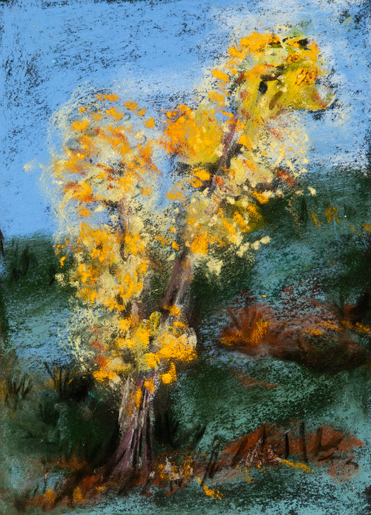 Evening sets in Yellowstone