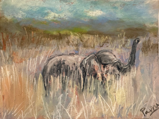 Baby Elephant in tall grass