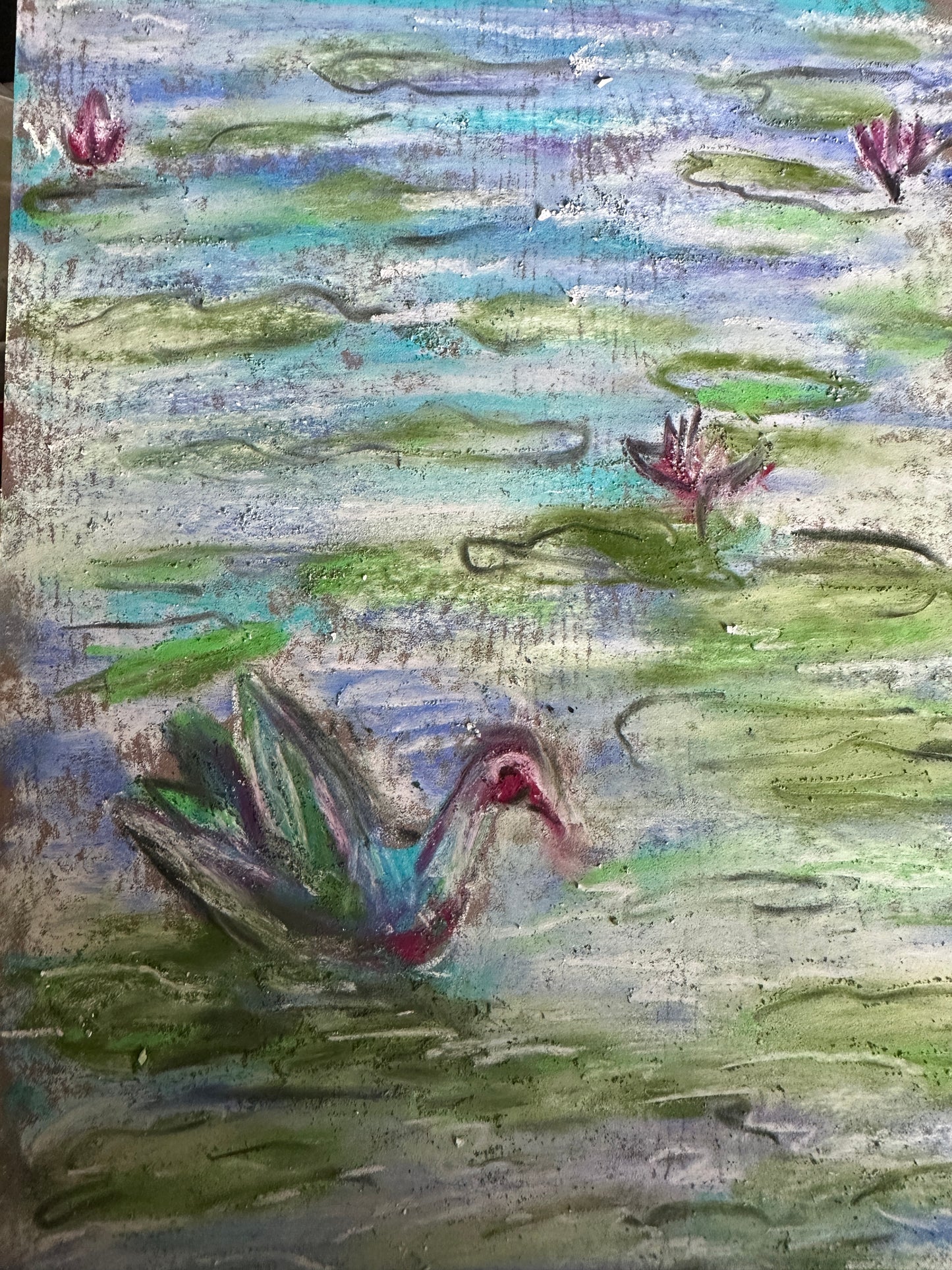 Purple Swamphen amidst pink lotus