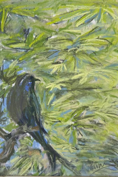 Drongo in foliage