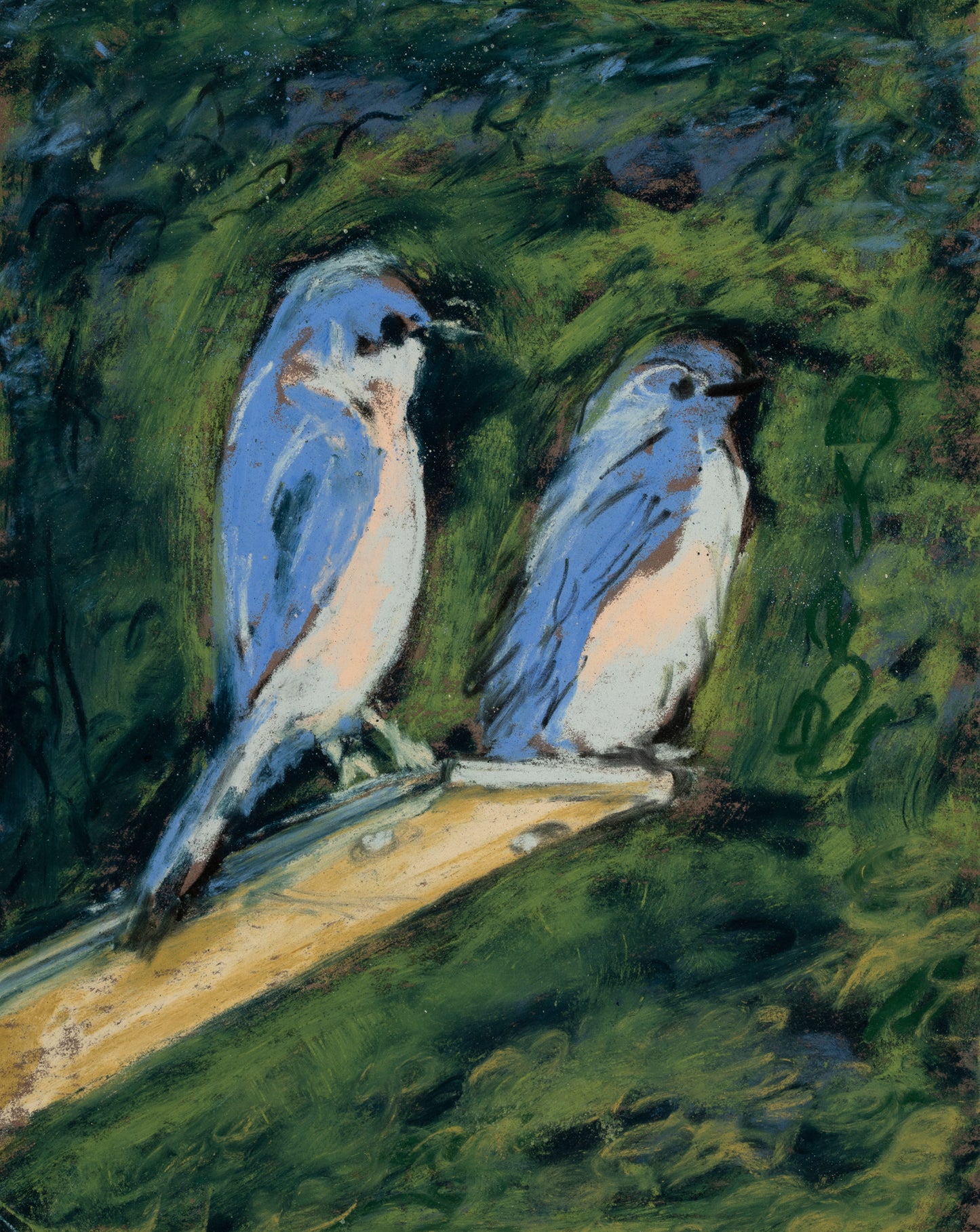 Two Blue Birds