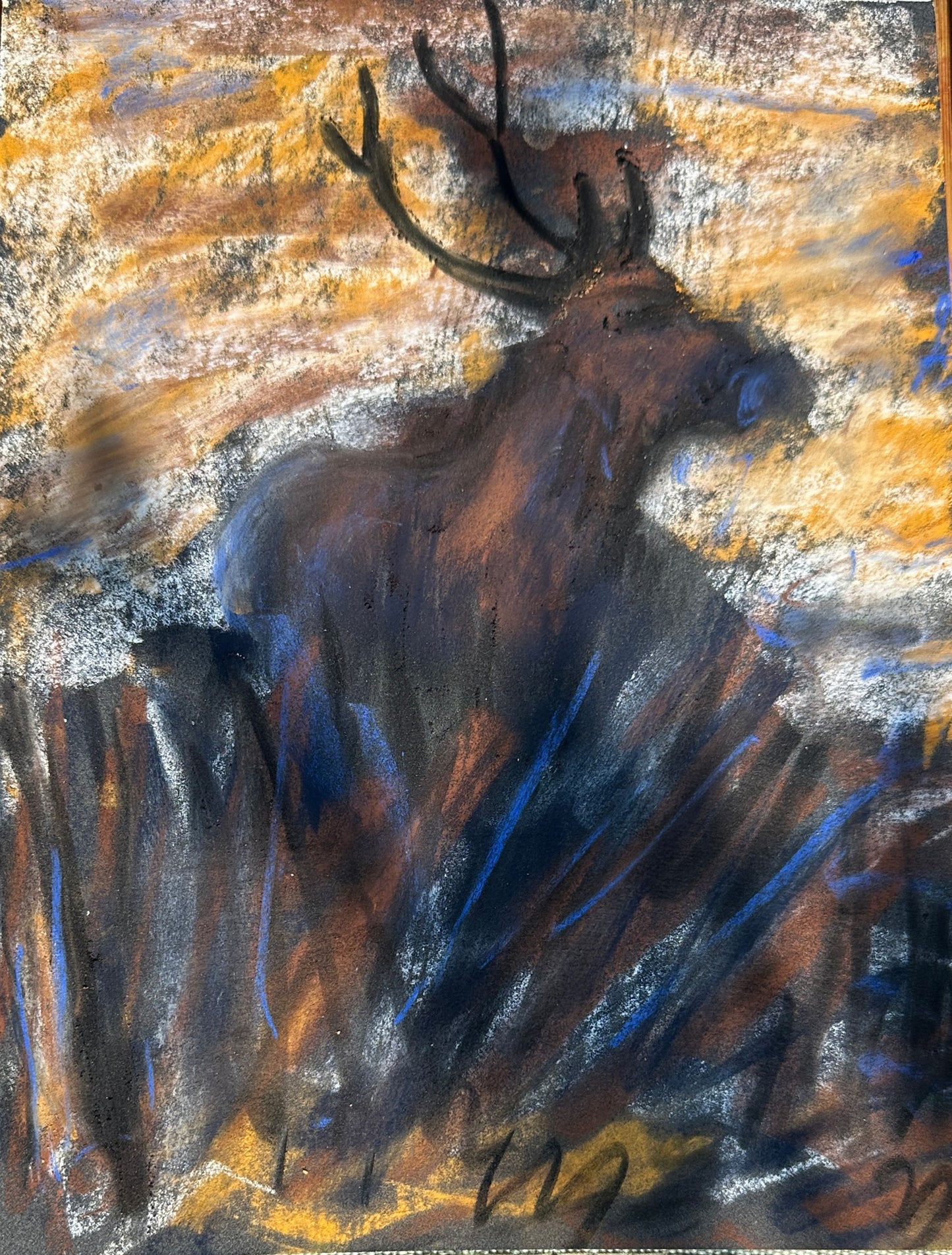 Majestic Sambar Deer